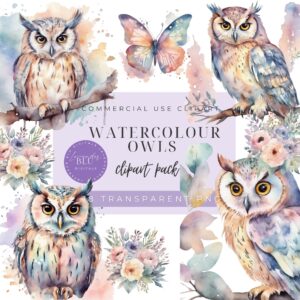 watercolor owls clipart